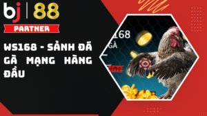 WS168 - Sảnh đá gà mạng tích hợp tại Bj88