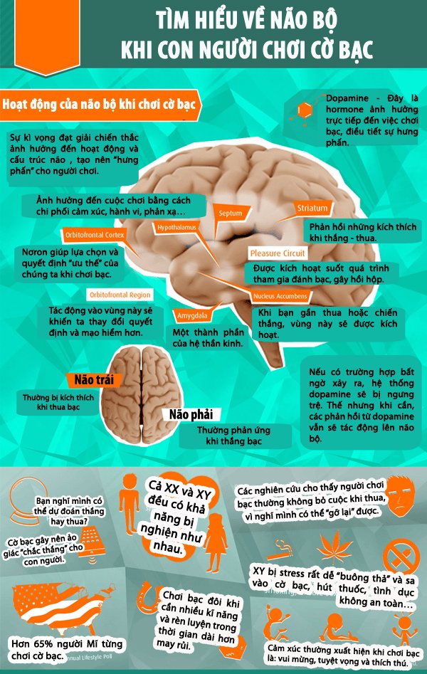 Kh&ocirc;ng thể phủ nhận mặc d&ugrave; l&agrave; một h&igrave;nh thức giải tr&iacute; nhưng cờ bạc c&oacute; t&iacute;nh g&acirc;y nghiện khi n&atilde;o bộ tiết ra ho&oacute;c m&ocirc;n hưng phấn mỗi khi chiến thắng. Nguồn ảnh: Kenh14