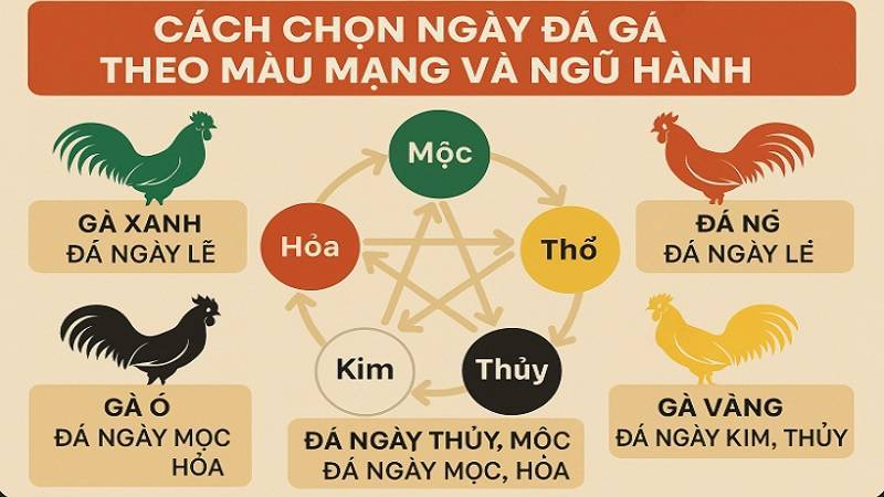 M&agrave;u mạng g&agrave; tu&acirc;n theo nguy&ecirc;n tắc Ngũ H&agrave;nh: Kim - Mộc - Thủy - Thổ - Hỏa